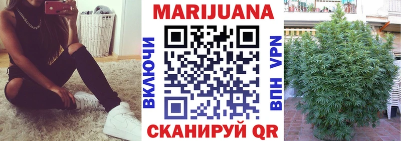 Бошки марихуана SATIVA & INDICA  продажа наркотиков  Чайковский 